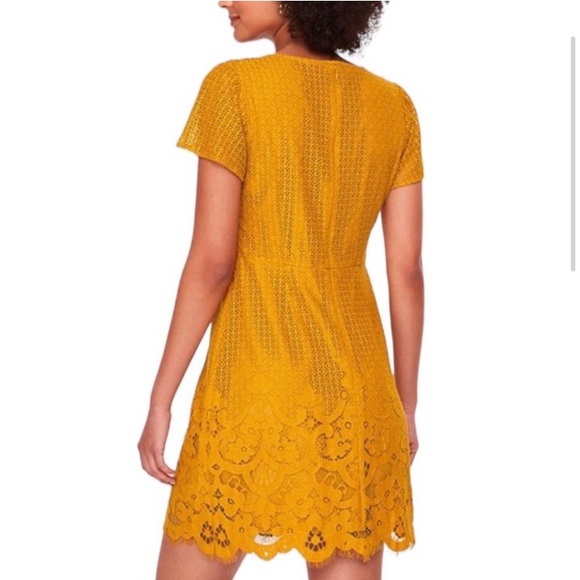 Loft Lace Mini Dress - Picture 2 of 4